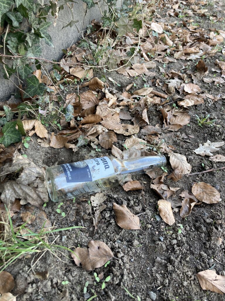 Frühjahrsputz in Aumühle